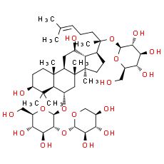 Notoginsenoside R1 - CAS