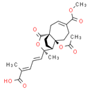 Pseudolaric Acid B