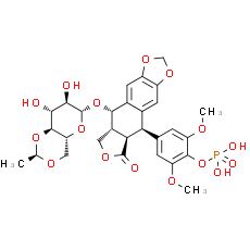 Etoposide phosphate