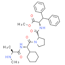 MV1 - CAS