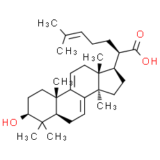 3-Dehydrotrametenolic acid