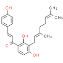 Xanthoangelol - CAS