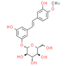 Rhapontin - CAS