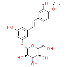 Rhapontin - CAS