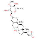 Neriifolin - CAS