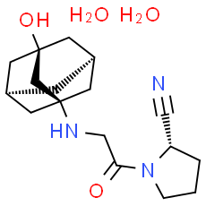 Vildagliptin dihydrate