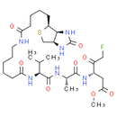 Biotin-VAD-FMK
