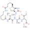 Biotin-VAD-FMK