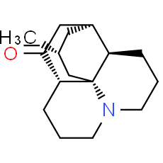 Lycopodine - CAS