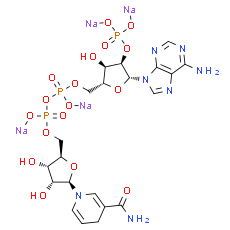 NADPH tetrasodium salt - CAS