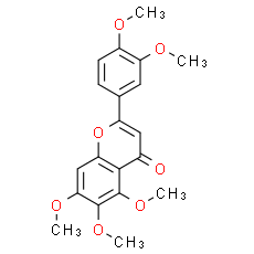 Sinensetin - CAS