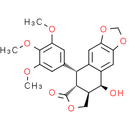 (-)-Epipodophyllotoxin - CAS