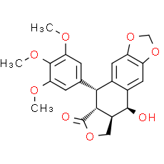 (-)-Epipodophyllotoxin - CAS