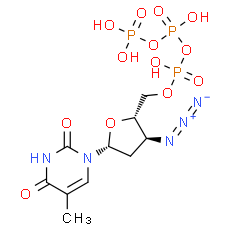 AZT triphosphate