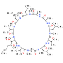Cyclosporin D - CAS