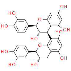 Procyanidin B3