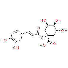 1-Caffeoylquinic acid