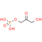 Dihydroxyacetone phosphate