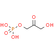 Dihydroxyacetone phosphate
