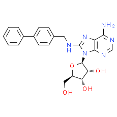 CNT2 inhibitor-1