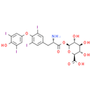 Levothyroxine acyl glucuronide