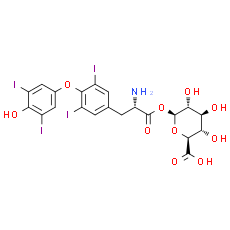 Levothyroxine acyl glucuronide