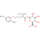 Gemfibrozil 1-O-β-glucuronide