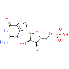 5'-Guanylic acid