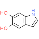 5, 6-Dihydroxyindole