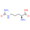 L-Citrulline