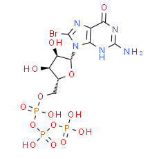 8-Br-GTP