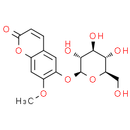 Magnolioside