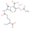Cephalosporin C zinc salt