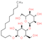 N-Dodecyl-β-D-maltoside