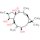 7beta-Hydroxylathyrol