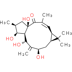 7beta-Hydroxylathyrol