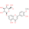 DiosMetin 7-O-β-D-Glucuronide