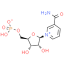 β-Nicotinamide mononucleotide - CAS