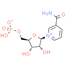 β-Nicotinamide mononucleotide - CAS