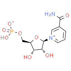 β-Nicotinamide mononucleotide