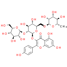 Kaempferol-3-O-(2''-O-β-D-glucopyl)-β-D-rutinoside