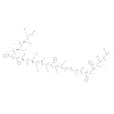 IKKγ NBD Inhibitory Peptide - CAS