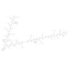 PKC β pseudosubstrate