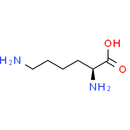 L-Lysine