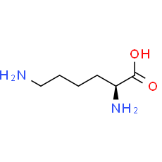 L-Lysine