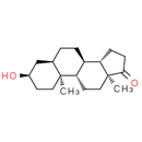 Etiocholanolone