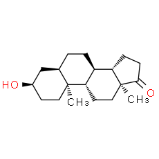 Etiocholanolone
