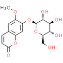Scopolin