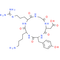 Cyclo(RGDyK) - CAS# 217099-14-4