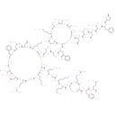 Iberiotoxin - CAS